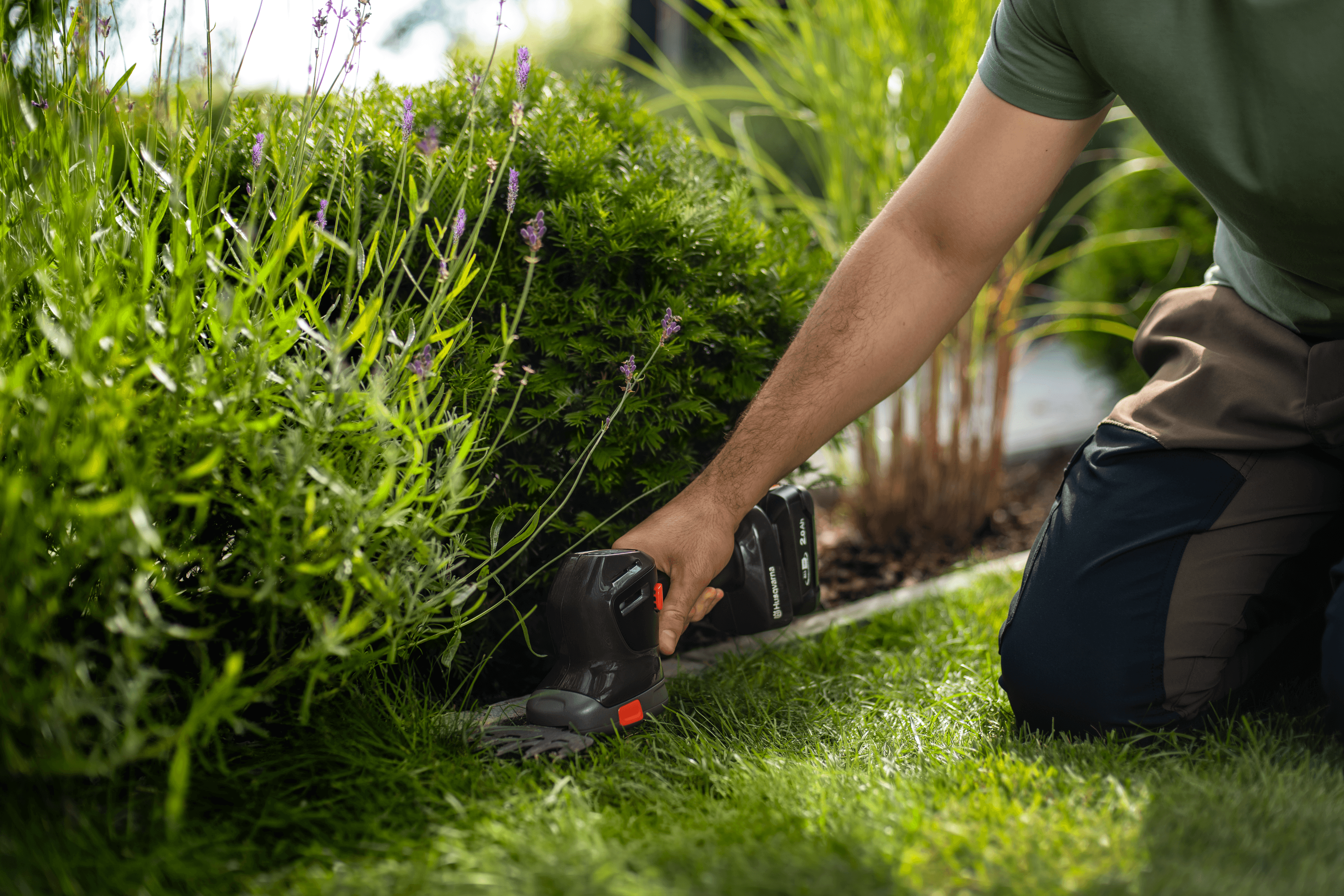 Aspire™ Shrub Shear 18V without battery and charger  image 4